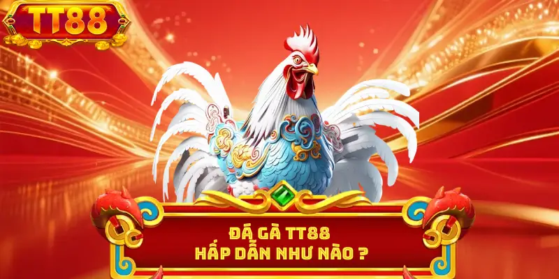 Đá gà TT88 hấp dẫn như nào ?
