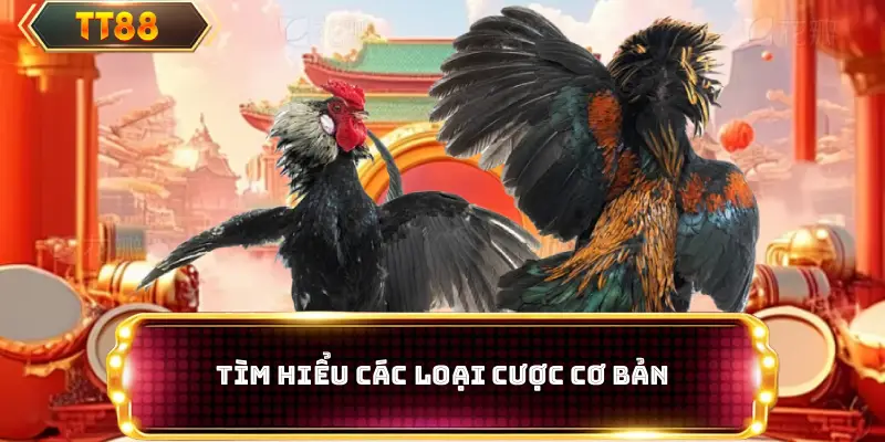 Tìm hiểu các loại cược cơ bản